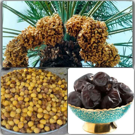 مرکز تولید و فروش انواع خرما و مرکبات طبس