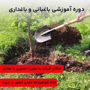 آموزش و پروش ناحیه 1 بندرعباس