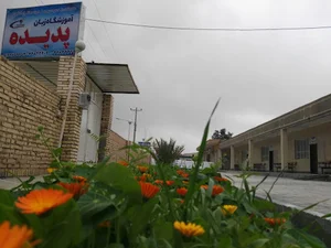 موسسه زبان پدیده
