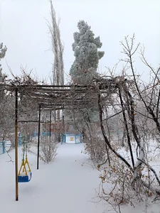 سرچشمه افق کرمان