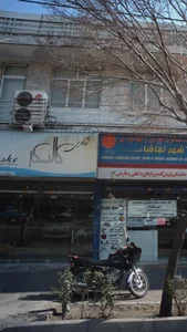 اتوگالری کالسکه 2