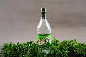 گلچکان زمانی