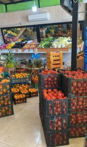 میوه فروشی ساحل 2