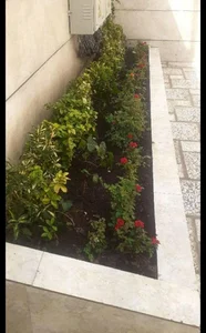طراحی و اجرای فضا سبز 3