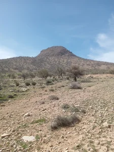 کوه کرکری ممو