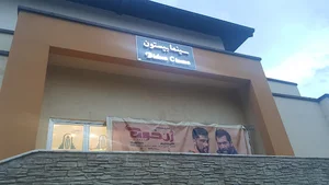 سینما بیستون