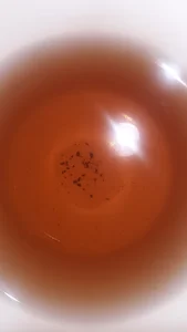 کافه ویولا