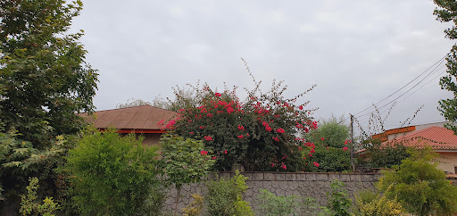 ساحل 12