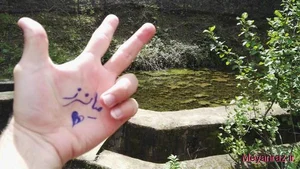فرش فروشی نگین مشهد