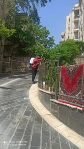 سم پاشی و خدمات گل و گیاه نودهانی 3