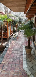 رستوران اسپیو 5