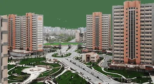 برنامه نویسان دانش برتر سهند