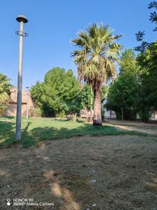 پارک فلامینگو 5