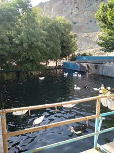 محصولات ارگانیک و ماهی سرای حصارکی 4