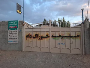 خوراک دام وطیور مومنیان دامدانه