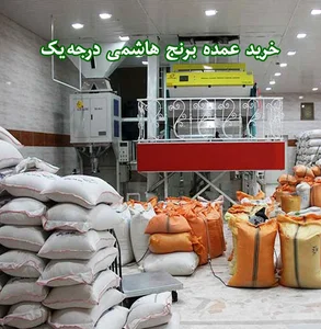 بورس برنج