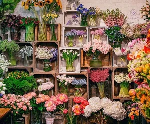 aniya flower shop