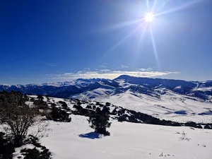 زبله نما