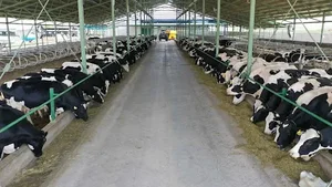 شرکت تولیدی دام وطیور دشت کیمیا