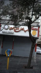 کباب ذغالی و نان تنوری ناب 3