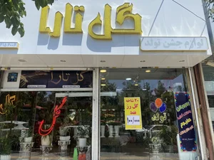 گل سرای تارا 2