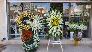 گلفروشی گل نرگس شهرکرد