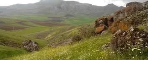 طلا و جواهرسازی آی پارا