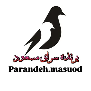 پرنده سرای مسعود