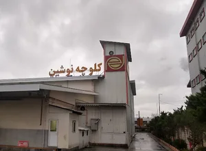 شرکت نوشین فرد