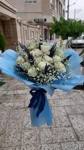 گلسرای لوتوس 4