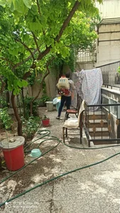 سم پاشی و خدمات گل و گیاه نودهانی 2