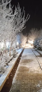 مجموعه گردشگری و پذیرایی برکه