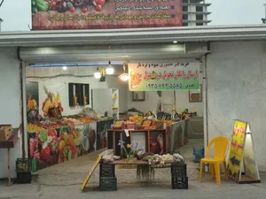 میوه و تربار مستر مجد 4