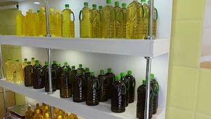روغنکیری بکرانو
