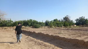 باغ راه کندنه