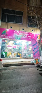پت شاپ من