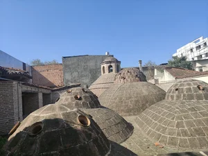 Vaziri bath sari