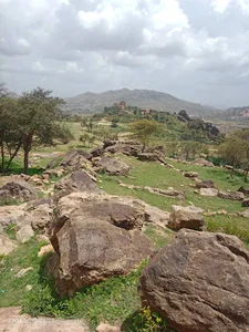 بيت سافوف
