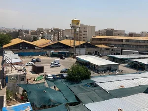 کفش سارگل