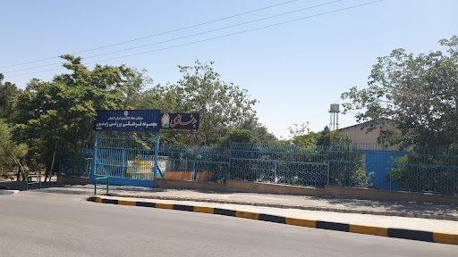 باشگاه فرهنگی ورزشی زیتون