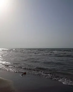 پارکینگ پنجم