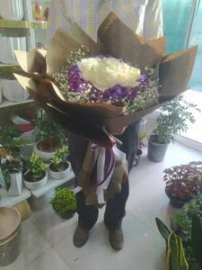 گلسرای لوتوس 2