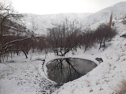 برکه گلابی