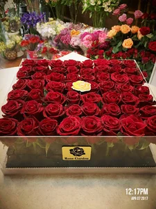 باغ رز