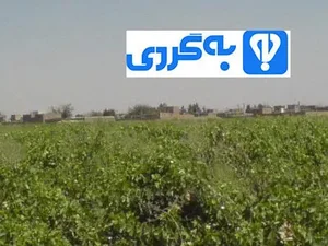 دست سازه(عروسک روسی)