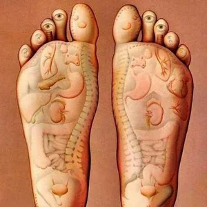 کفش طبی ایرانا شعبه 2