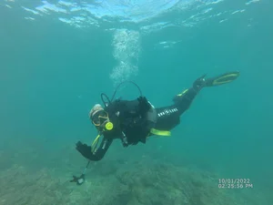Persian Gulf Diving Centerتفریحات دریایی
