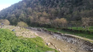 پارک جنگلی گالیکش