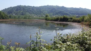 تالاب سوستان