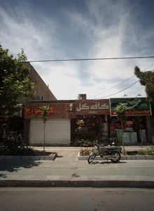 گوشتویچ ارگانیک 3